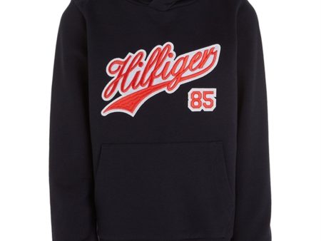 Tommy Hilfiger Hilfiger Script Hoodie Desert Sky Online Hot Sale