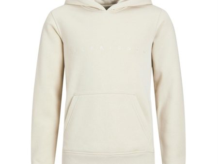 Jack & Jones Junior Moonbeam Copenhagen Hoodie Noos Online Sale