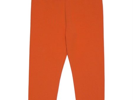 Marni Nectarine Leggings Sale